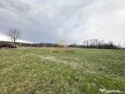 Teren de vanzare Blagesti Bacau 