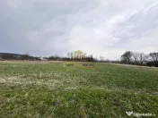 Teren de vanzare Blagesti Bacau 