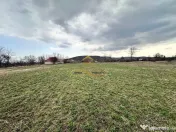 Teren de vanzare Blagesti Bacau 