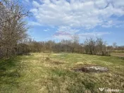 Casă / Vilă cu 3 camere de vânzare 