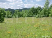 Teren intravilan de vânzare, 12000mp, Trâncești, Scăriș