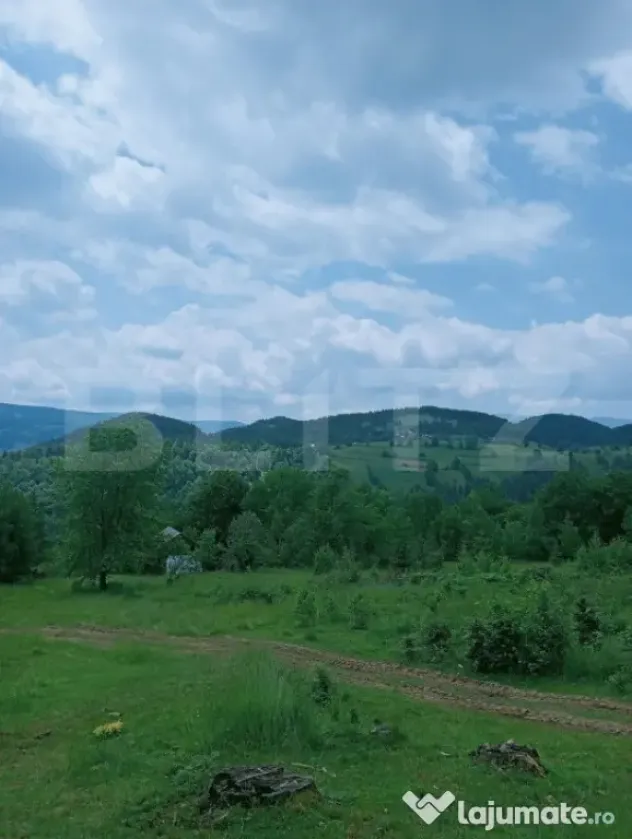 Teren intravilan de vânzare, 12000mp, Trâncești, Scăriș