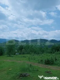 Teren intravilan de vânzare, 12000mp, Trâncești, Scăriș