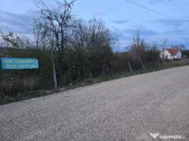 Ter Zona Coline-Raspantii, 1000 mp , utilitati, intre case, gaz
