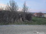Ter Zona Coline-Raspantii, 1000 mp , utilitati, intre case, gaz 