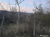 Ter Zona Coline-Raspantii, 1000 mp , utilitati, intre case, gaz 