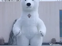 Vand mascote Urs Gigant