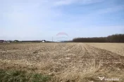 Teren 9,740mp Suceava / Strada Principala 