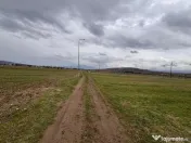 Teren intravilan pentru constructii Zarnesti 