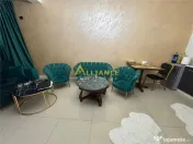 Jilava 2 case tip Duplex 7 Camere 6 Bai 