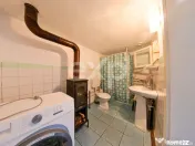 Casa de vanzare in statiunea Buzias