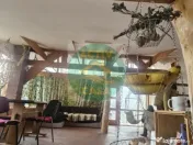 LOCUINȚĂ ECOLOGICĂ + GRĂDINĂ SUSTENABILĂ 