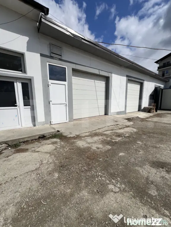 Hala/Spatiu comercial 160mp Subcetate - Bistrita (Bistrita-Nasaud)