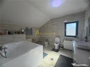 Vila mobilata si utilata- 4 camere- 10 min de Stv 