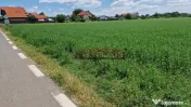 Teren intravilan 9.470 mp – Bolintin-Deal, locație 