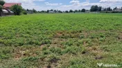 Teren intravilan 9.470 mp – Bolintin-Deal, locație 