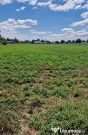 Teren intravilan 9.470 mp – Bolintin-Deal, locație 