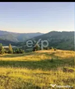 Teren Budeasa cu iesire la lac