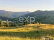 Teren Budeasa cu iesire la lac 