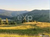 Teren Budeasa cu iesire la lac