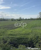 Teren Budeasa cu iesire la lac 