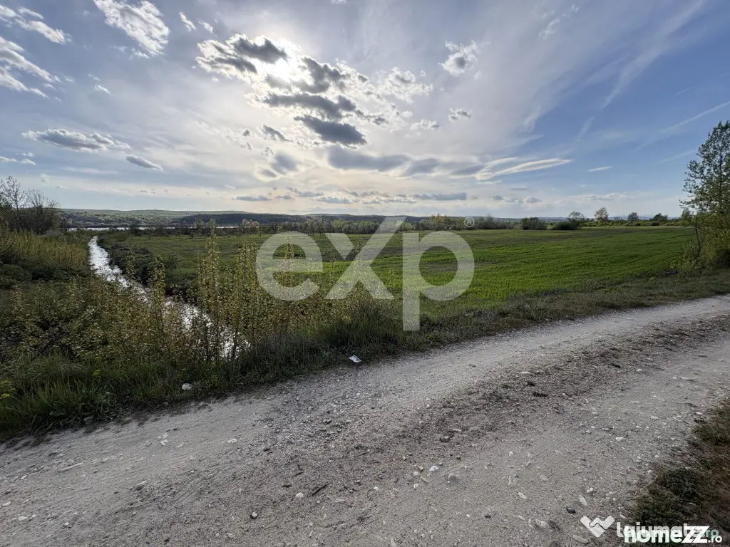 Teren Budeasa cu acces la lac
