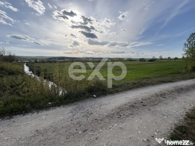 Teren Budeasa cu acces la lac