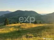 Teren Budeasa cu iesire la lac 