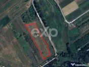 Teren Budeasa cu iesire la lac 