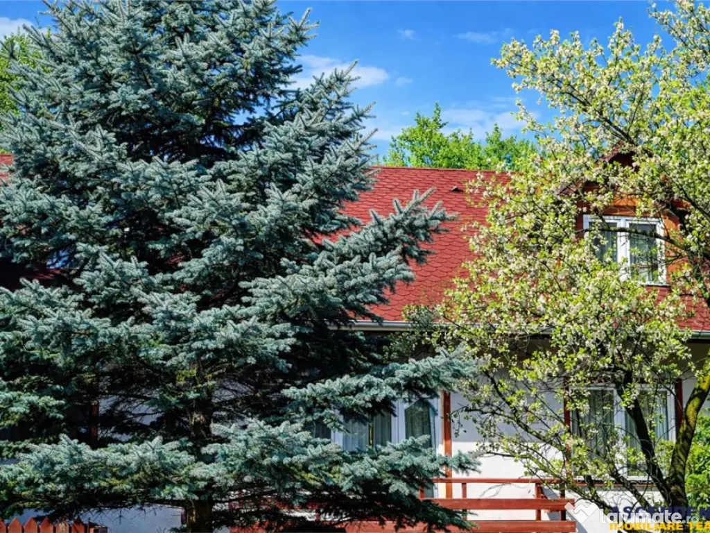 In Vintage style, cu acces auto in curte proprie, zona Star