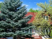 In Vintage style, cu acces auto in curte proprie, zona Star 