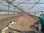 VANZARE TEREN 3100 MP - SAT ROSIORI (IL) 