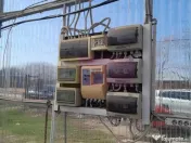 VANZARE TEREN 3100 MP - SAT ROSIORI (IL) 