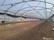 VANZARE TEREN 3100 MP - SAT ROSIORI (IL) 