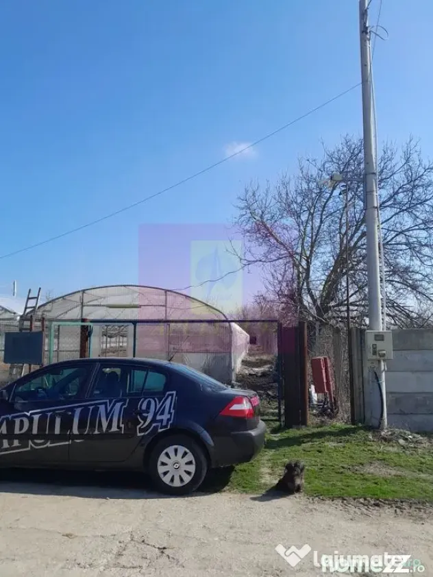 IALOMITA - SE VINDE TEREN 3100 MP - SAT ROSIORI - Rosiori (Ialomita)