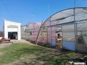 IALOMITA - SE VINDE TEREN 3100 MP - SAT ROSIORI