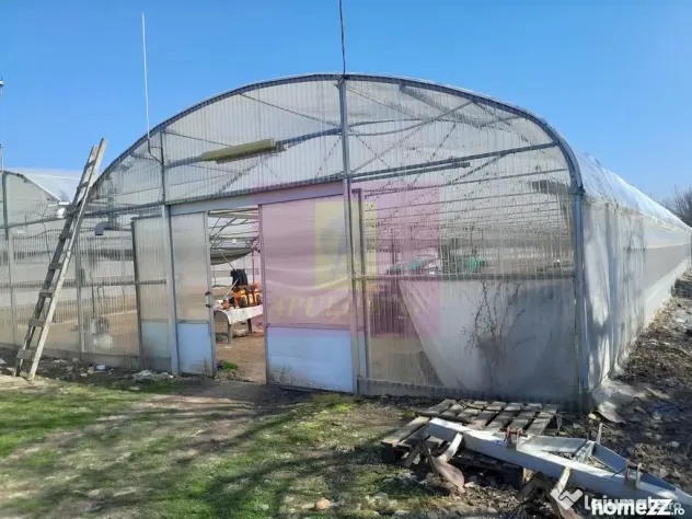 IALOMITA - SE VINDE TEREN 3100 MP - SAT ROSIORI - Rosiori (Ialomita)