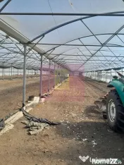 IALOMITA - SE VINDE TEREN 3100 MP - SAT ROSIORI