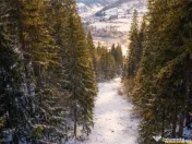 FILM!Teren 7.800mp,fosta partie de schi,investitie turistica 