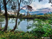 Complex Turistic Panicel, DN73A 