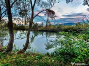 Complex Turistic Panicel, DN73A 