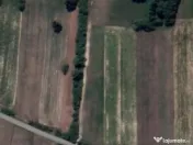 Teren de vanzare in Dumbravița, 90 de ari 