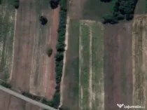 Teren de vanzare in Dumbravița, 90 de ari