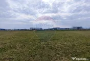 Teren de vanzare zona industriala Sura Mica 