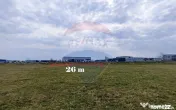 Teren de vanzare zona industriala Sura Mica 