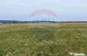 Teren de vanzare zona industriala Sura Mica 