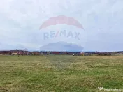 Teren de vanzare zona industriala Sura Mica 