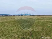 Teren de vanzare zona industriala Sura Mica 