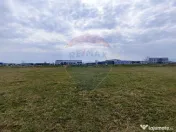 Teren de vanzare zona industriala Sura Mica 