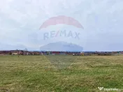 Teren de vanzare zona industriala Sura Mica 